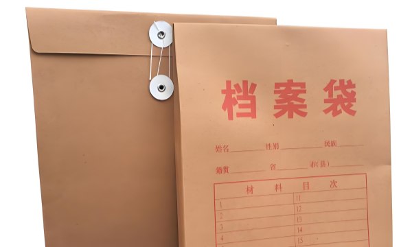 文书档案袋