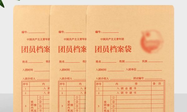 人事档案袋
